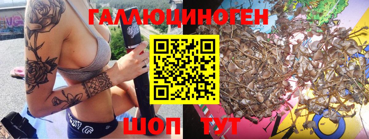 Городец  купить наркоту  Вход с VPN  Галлюциногенные грибы мицелий 